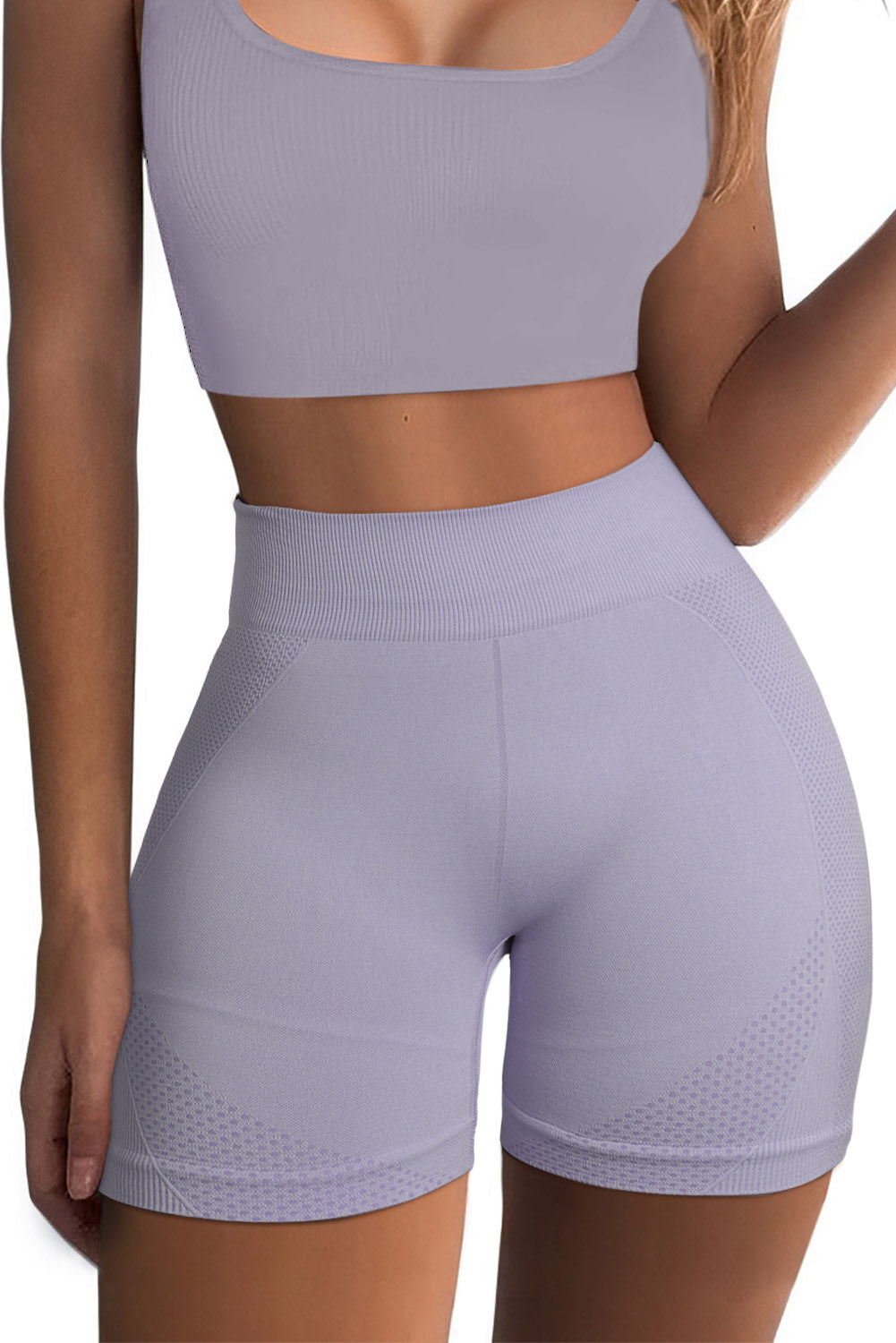 Purple Mesh Insert Butt-lift Sports Shorts