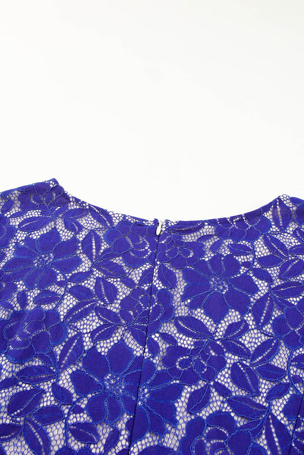 Blue Floral Lace Nude Illusion Plus Size Skater Dress