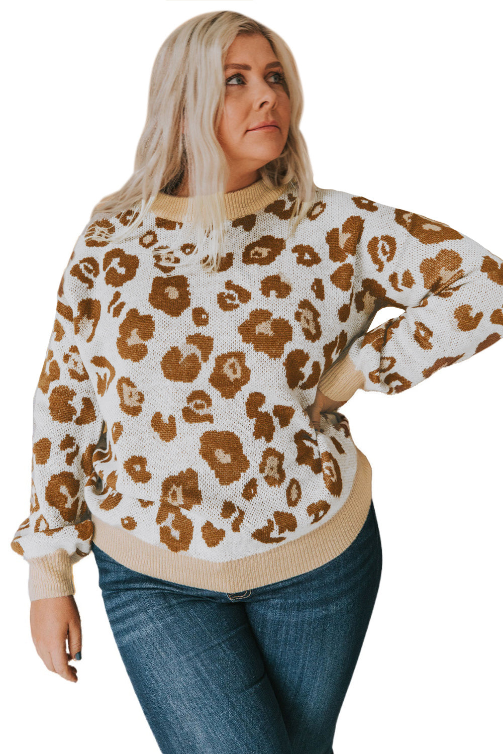 Leopard Plus Size Ribbed Hem Leopard Sweater